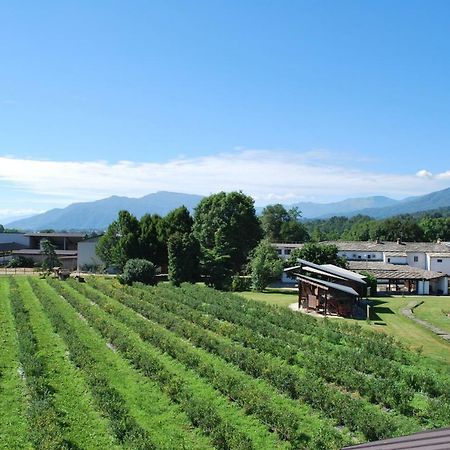 Agriturismo Il Frutto Permesso Bibiana Екстер'єр фото