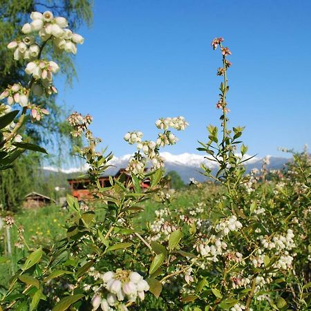 Agriturismo Il Frutto Permesso Bibiana Екстер'єр фото