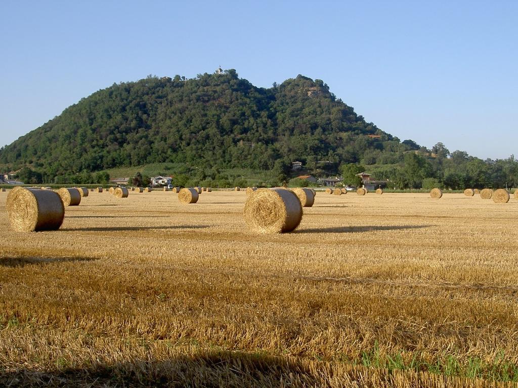 Agriturismo Il Frutto Permesso Bibiana Екстер'єр фото