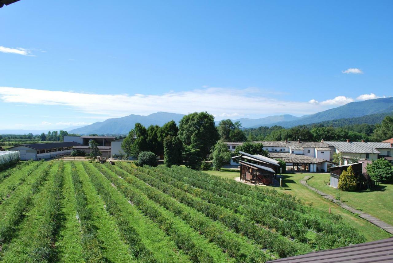 Agriturismo Il Frutto Permesso Bibiana Екстер'єр фото