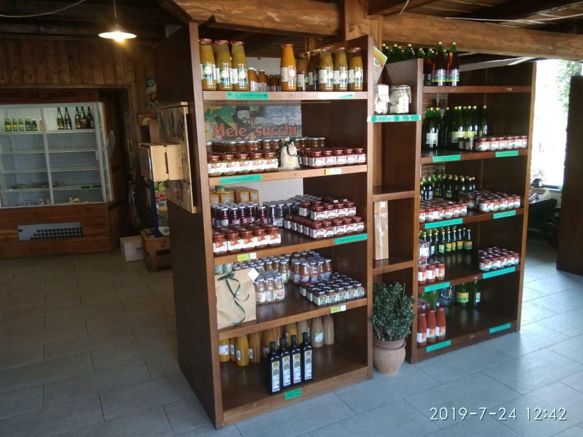 Agriturismo Il Frutto Permesso Bibiana Екстер'єр фото